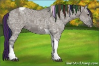 Horse Color:Painted Grullo Ice Tobiano 