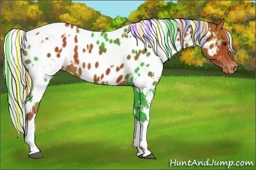 Horse Color:Painted White Spotted Silver Bay Appaloosa 