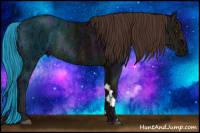 Horse Color:Midnight Liver Chestnut Ice Rabicano