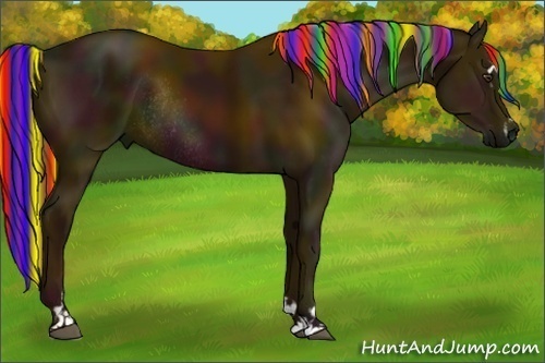 Horse Color:Painted Midnight Chestnut Sabino Rabicano 