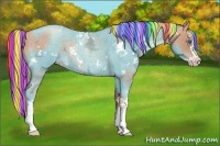 Horse Color:Painted White Spotted Gold Champagne Ice Roan Splash Rabicano