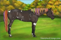 Horse Color:Painted White Spotted Liver Chestnut Rabicano 