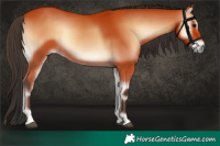 Horse Color:Bay Onyx 