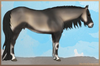 Horse Color:Gray Blue Onyx 