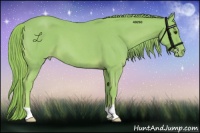 Horse Color:Watercolor Red Roan Appaloosa 