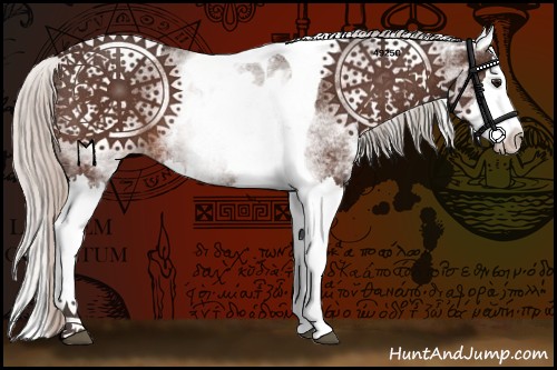 Horse Color:White Spotted Silver Bay Splash Tobiano 
