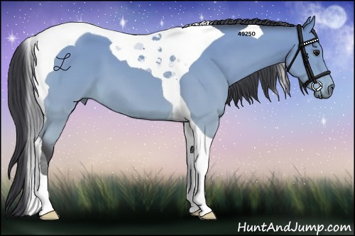 Horse Color:Buckskin Tobiano