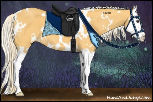 Horse Color:White Spotted Palomino Splash