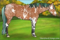 Horse Color:Painted White Spotted Bay Splash