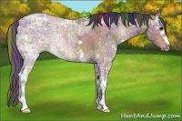 Horse Color:Painted Nacre White Spotted Bay Ice Rabicano 