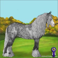 Horse Color:Silver Sable Champagne Chinchilla Ice Sabino