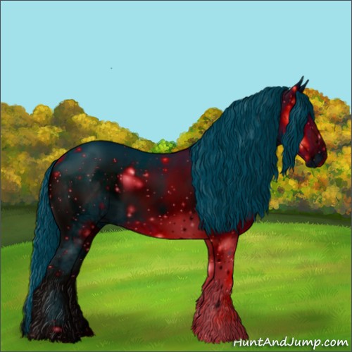 Horse Color:ERROR: UNKNOWN ANOMALY