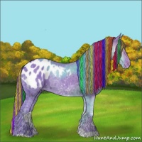 Horse Color:Painted Watercolor Black Ice Appaloosa 