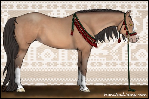 Horse Color:Amber Champagne 