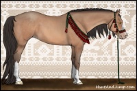 Horse Color:Amber Champagne