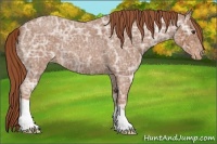 Horse Color:Red Ice Roan Varnish 