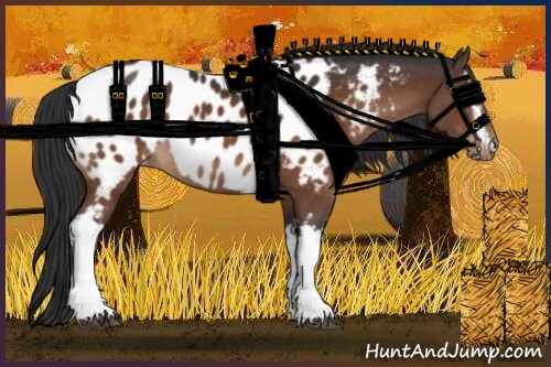 Horse Color:White Spotted Brown Near Leopard 