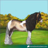 Horse Color:Bay Onyx Tobiano 