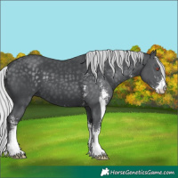 Horse Color:Silver Black Chinchilla Sabino
