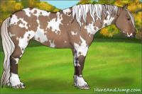 Horse Color:White Spotted Silver Brown Dun