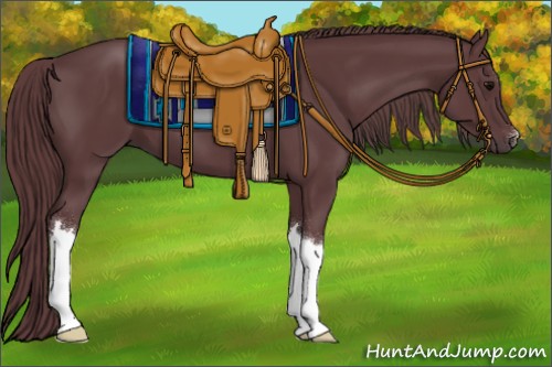 Horse Color:Chocolate Black 