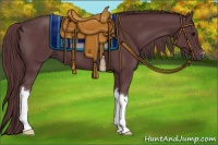 Horse Color:Chocolate Black 