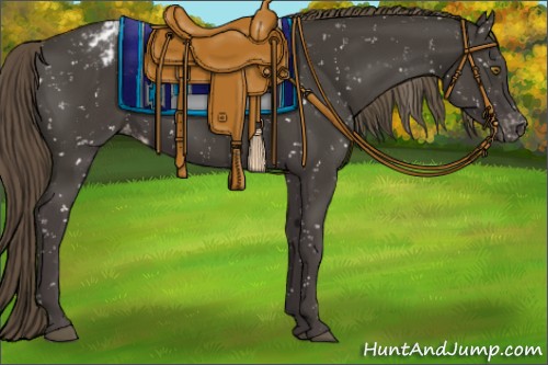 Horse Color:Smoky Black Snowflake Varnish