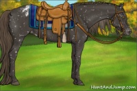 Horse Color:Smoky Black Snowflake Varnish