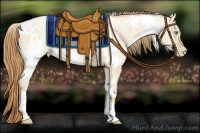 Horse Color:White Spotted Smoky Grullo Pearl