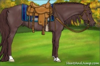 Horse Color:Chocolate Black Rabicano