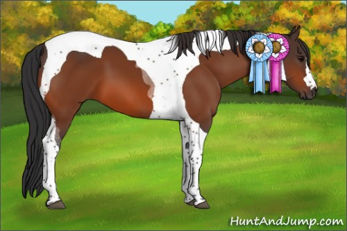Horse Color:Bay Tobiano 