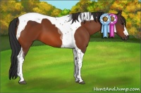 Horse Color:Bay Tobiano 