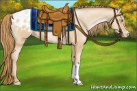 Horse Color:Chocolate Smoky Black Pearl Appaloosa 