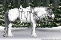 Horse Color:White Spotted Black Splash Tobiano Frame Blanket 
