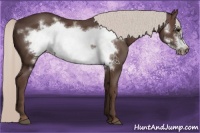 Horse Color:Silver Black Frame 