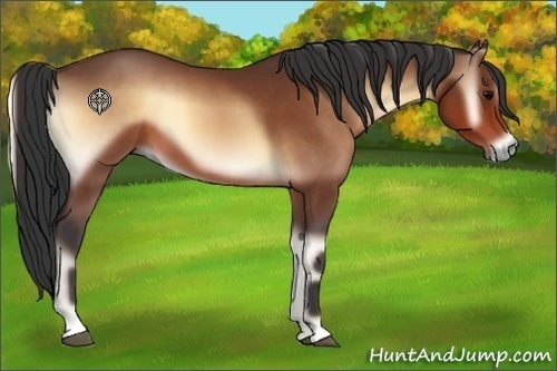 Horse Color:Brown Onyx Sabino