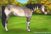 Horse Color:Brown Roan Onyx 