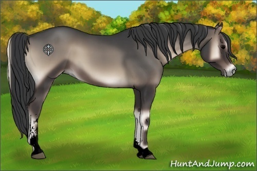 Horse Color:Void Blue Onyx Sabino