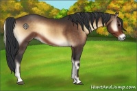 Horse Color:Brown Onyx Sabino 