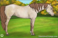 Horse Color:Chocolate Grullo Pearl Rabicano