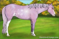 Horse Color:Watercolor Silver Black Pearl Sabino 