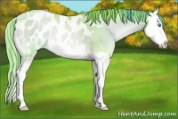 Horse Color:Watercolor Amber Champagne Pearl Onyx Splash Appaloosa 