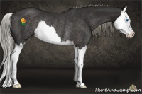 Horse Color:Liver Chestnut Splash Rabicano 