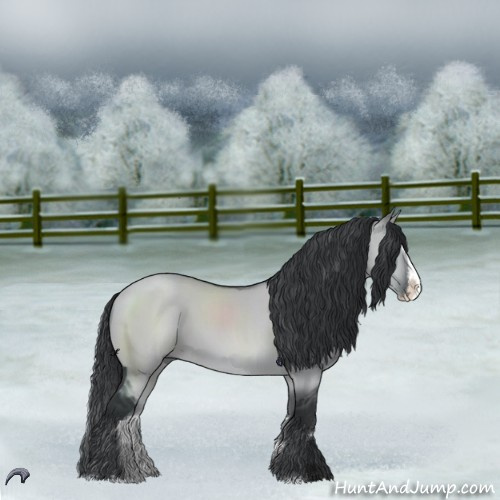 Horse Color:Grullo Chinchilla Sabino Splash
