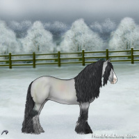 Horse Color:Grullo Chinchilla Sabino Splash 