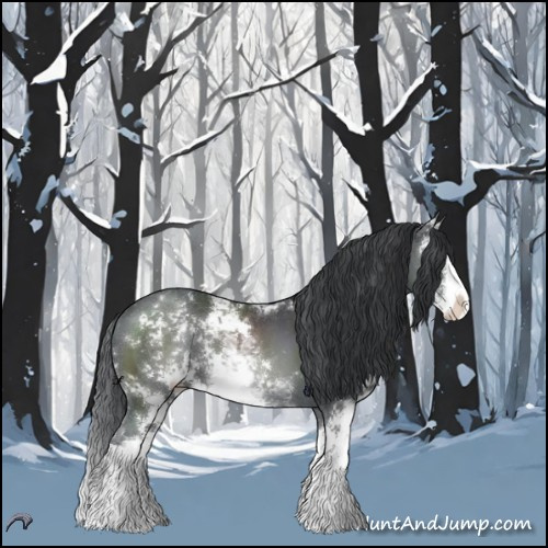 Horse Color:Black Chinchilla Sabino