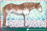 Horse Color:White Spotted Chestnut Sabino