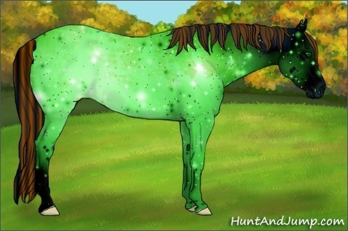 Horse Color:ERROR: UNKNOWN ANOMALY