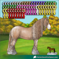 Horse Color:Silver Black Pearl Sabino Tobiano  and Black Pearl Sabino 