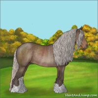 Horse Color:Silver Black Rabicano 